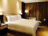 Standard Single room with street view