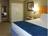 1 Bedroom Executive Suite