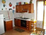 Basement Apartment