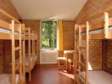 Bed in Dorm