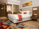 Deluxe Double room with balcony and with city view