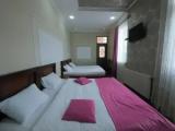 Standard Triple room with balcony and with garden view