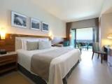 Deluxe Double Suite with partial ocean view