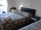 Standard Double room with pool view