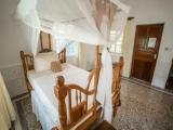 Standard room with garden view