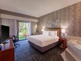 Standard room with pool view