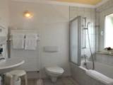 Standard Double room with balcony and with garden view