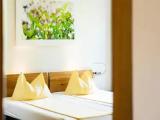 Standard Double room with garden view