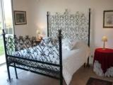 Standard Double room with garden view