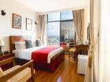 Standard room with balcony and with mountain view