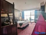 Standard Double Family room