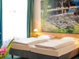 Standard Double room with street view