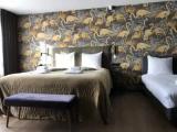 Comfort Triple Suite