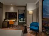 Deluxe with Terrace Double room