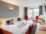 Deluxe Double room with garden view