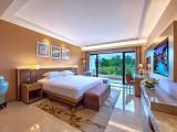 1 Bedroom Deluxe Suite