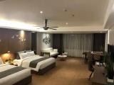 Premier Double Family room with city view