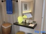 Premier Double room with balcony and with garden view