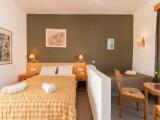 Standard Quadruple room with garden view