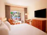 Superior Double room with pool view