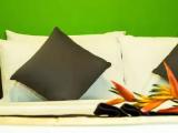 1 Bedroom Superior Double room with pool view