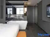 Standard Double room with garden view