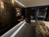 Standard Double room with mountain view