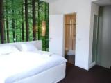 Standard Double room with garden view