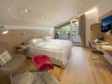 Deluxe Double room with mountain view