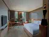 Deluxe Double accessible room
