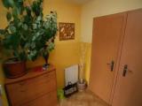 Economy Studio