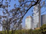 1 Bedroom Club Suite with city view