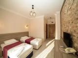Standard Double room with balcony and with garden view