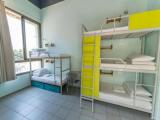 Bed in Dorm (male dorm)