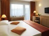 Standard Double room with balcony and with park view