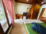 Economy Double room with garden view