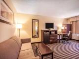 1 Bedroom Suite