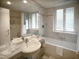 Standard Double room with balcony and with lake view