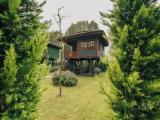 1 Bedroom Economy Double room with courtyard view