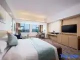 Deluxe Double Suite
