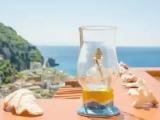 Quintuple Family Suite