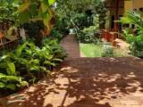 Deluxe Double room with balcony and with garden view