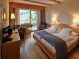 Standard Double room with mountain view