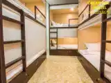 Bed in Dorm