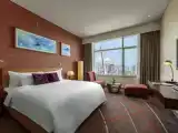 Deluxe Double room with river view