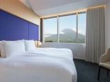 Standard Double room with mountain view