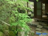Standard room with mountain view