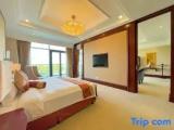Villa with view