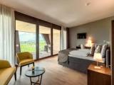 Deluxe Double room with balcony and with mountain view