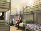 Bed in Dorm